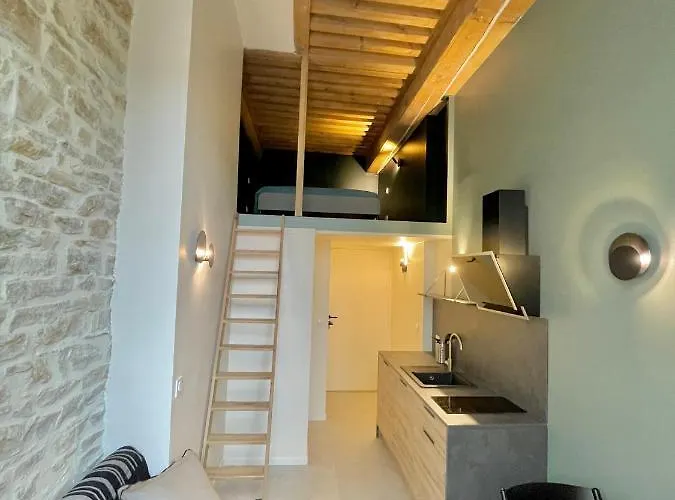 Le Soyeux Bed and Breakfast Lyon